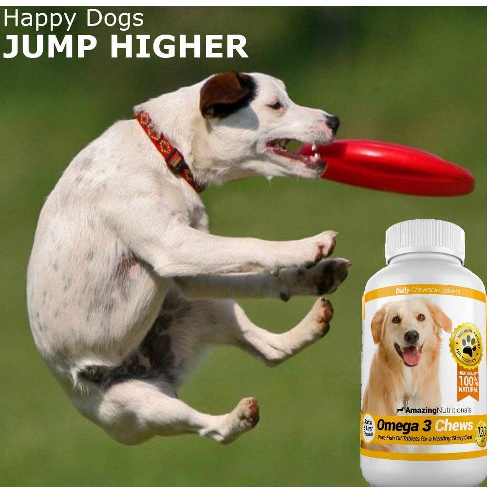 Amazing Omega 3 for Dogs - Omega 3 Fish Oil for Dogs Supplement for Itchy Skin Relief for Dry Skin and Hot Spots and Shedding Co
